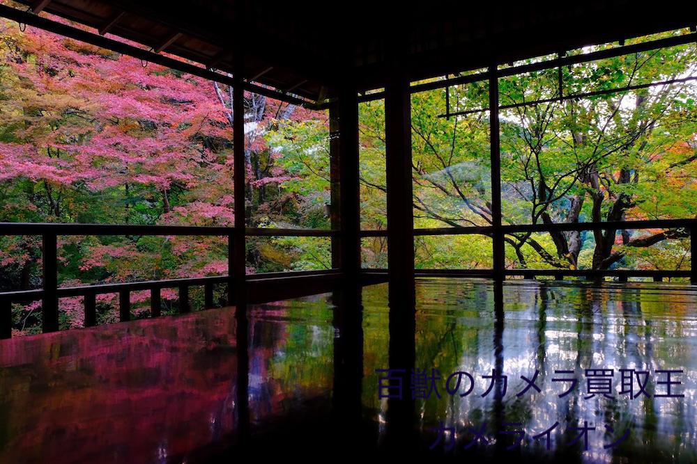 京都瑠璃光院 リフレクション 撮影 スポット