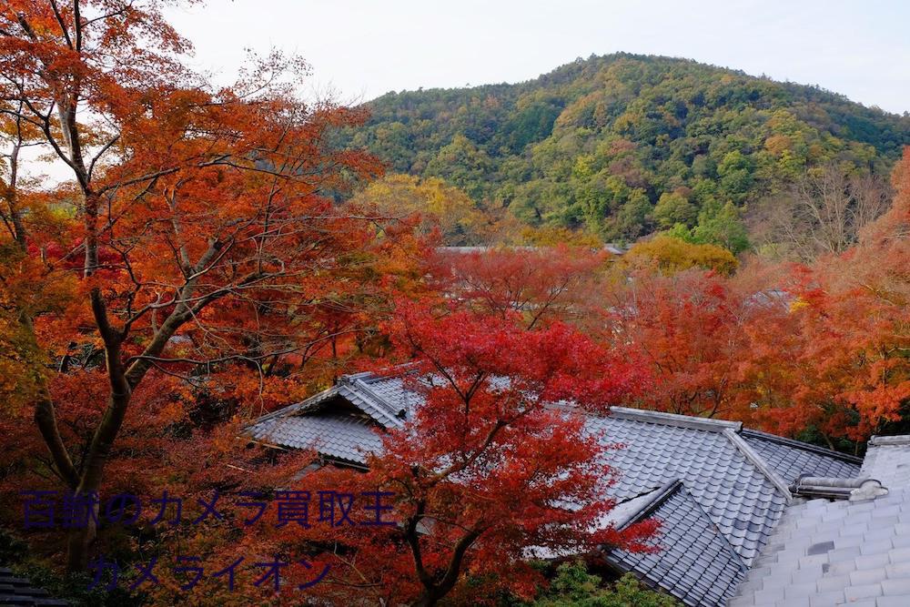 京都瑠璃光院1 リフレクション 撮影 スポット