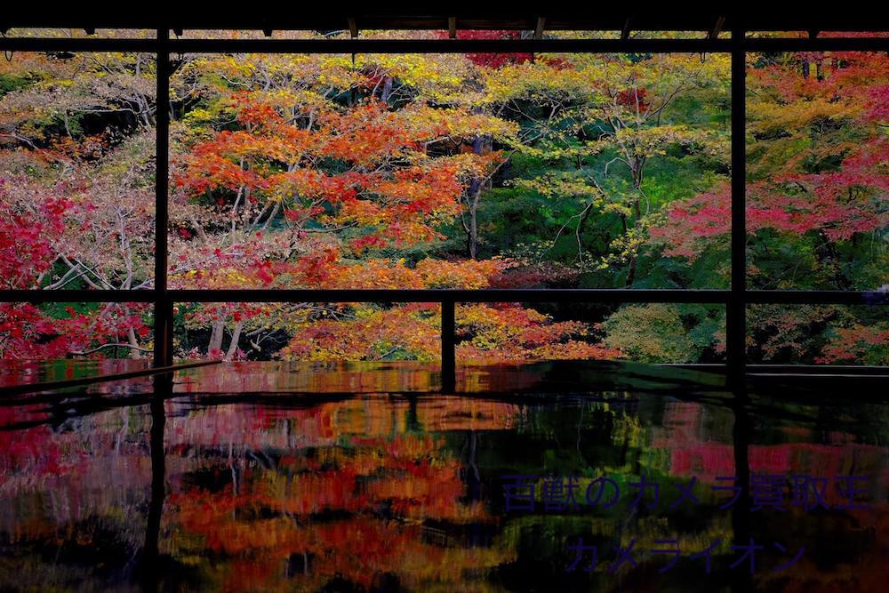 京都瑠璃光院2 リフレクション 撮影 スポット