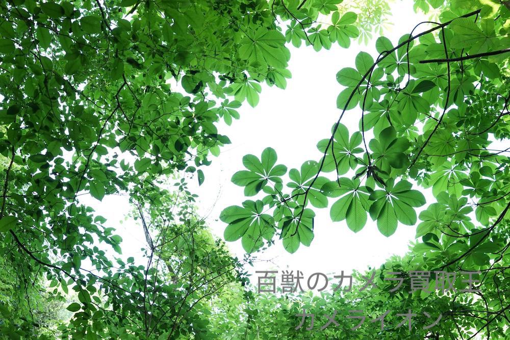 カメラ買取　神戸
