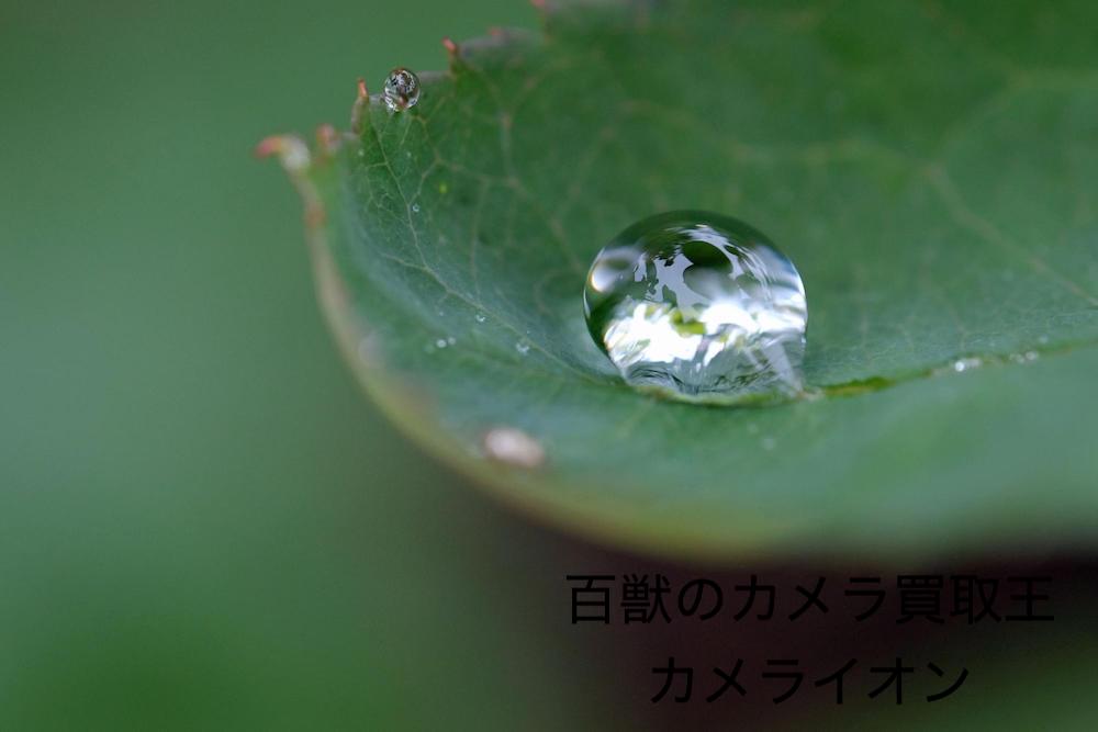 カメラ買取　神戸