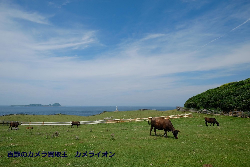 X-T20 XF14mm 佐賀県