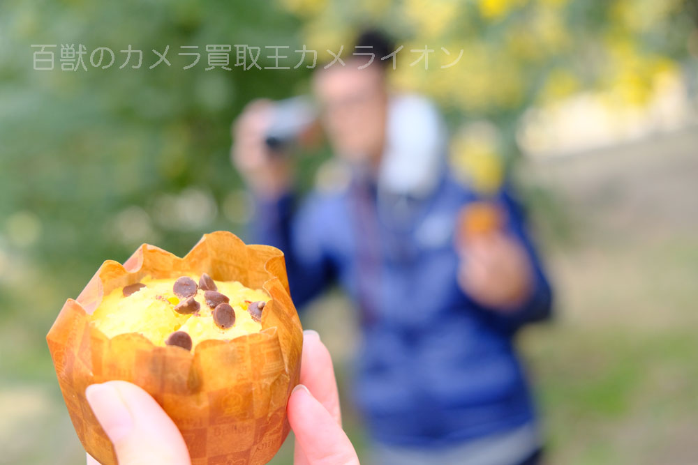 京都府立植物園