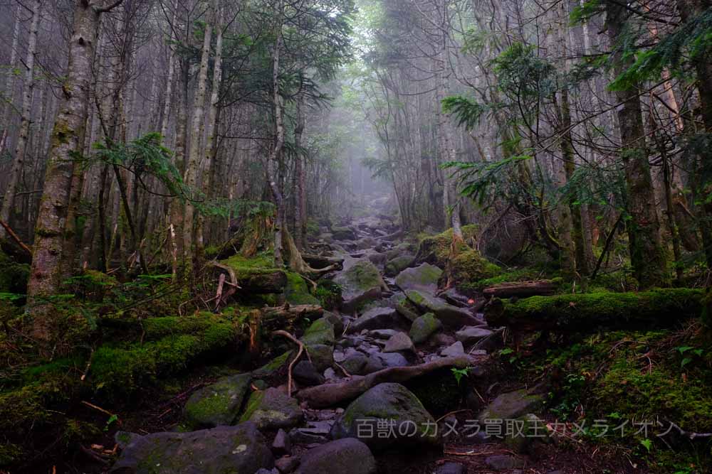 雨の日撮影