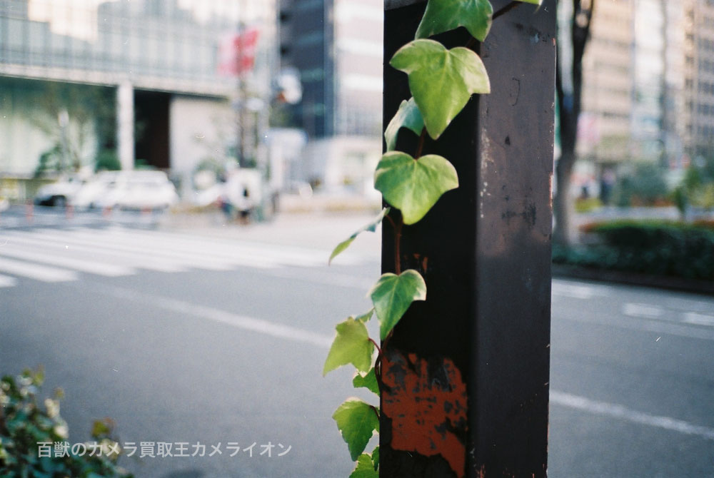 CONTAX T2